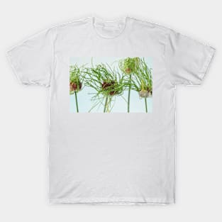 Allium vineale  'Hair' T-Shirt